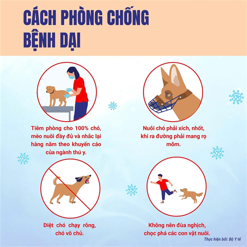 Bệnh Dại – Đừng chủ quan với vật nuôi